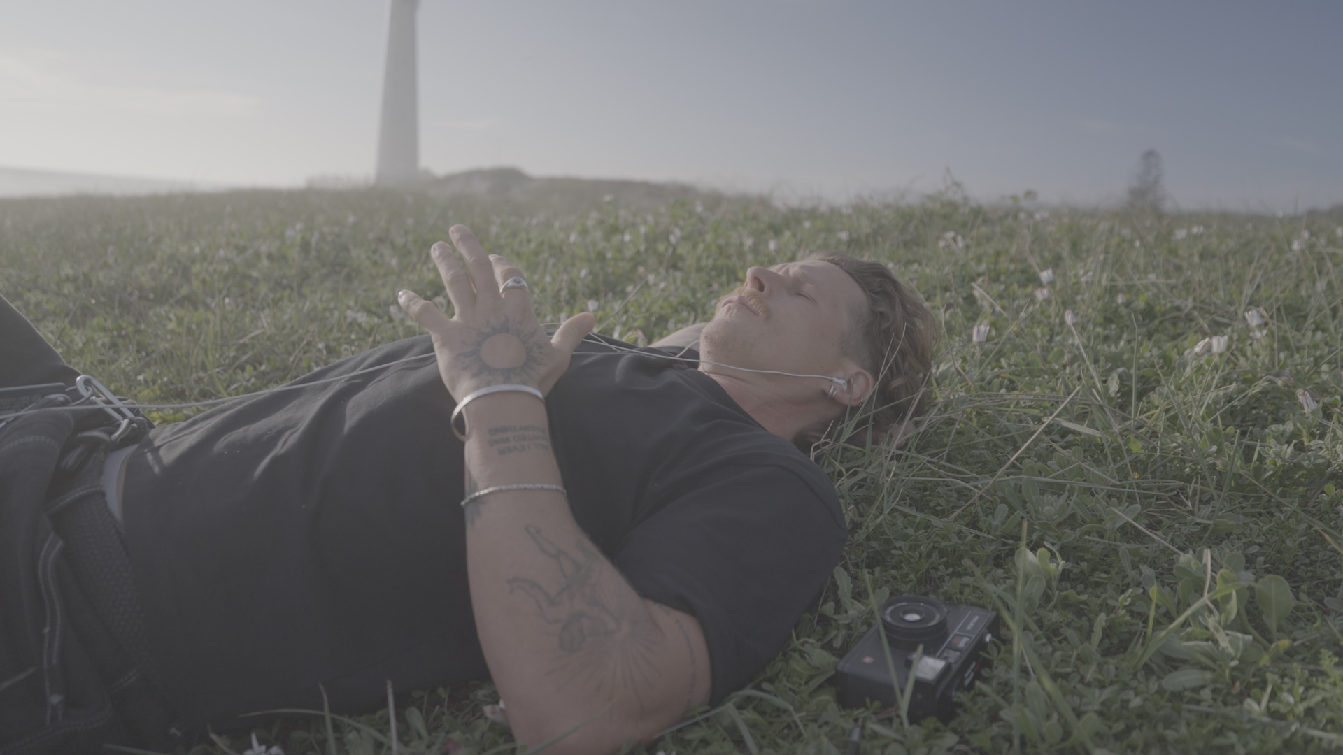 Lying in the grass, ungraded
